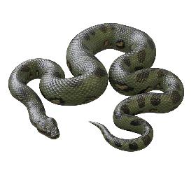 3D model Animated Green Anaconda